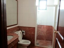 Fifth Avenue Condominium (D10), Condominium #371347571